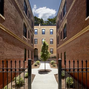 Narrow courtyard between buildings with tree in center