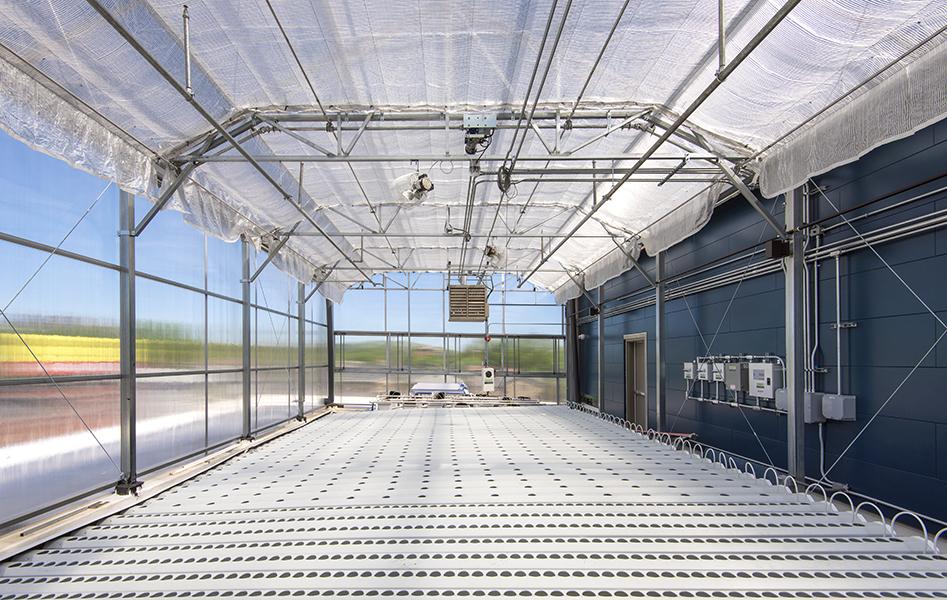 Axial view of greenhouse interior with translucent view outside.
