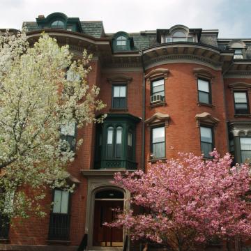 Front exterior of building with flowering trees